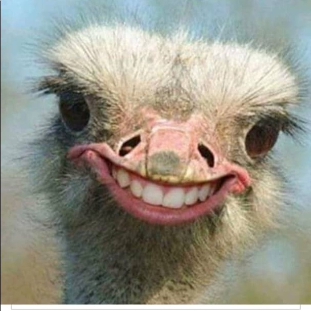 Meet your Posher, Beatriz